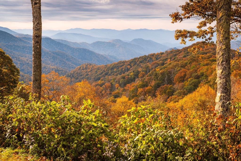 Gatlinburg Spartan Vacations Reviews (4)